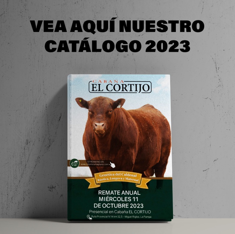 flyer Catalogo 2023 Campos de Torres