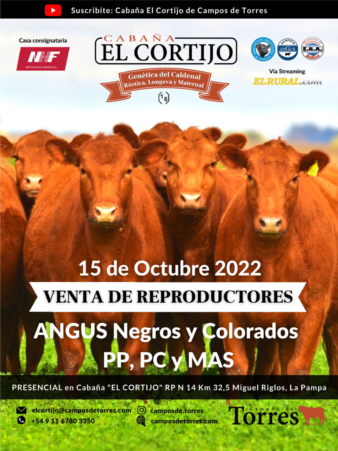 flyer Reamte 2022 Campos de Torres